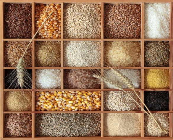 http://mothernaturelovesyou.com/wp-content/uploads/2012/10/staying-whole-in-a-processed-world-whole-grains.jpg